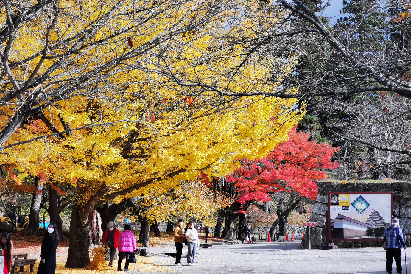 福島-會津若松城